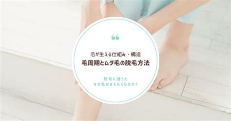 きんたまに毛|【意外と生えてる！】男の気になる玉毛の安全な剃り。